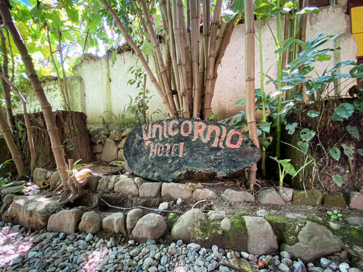 Unicorn Reborn - Peaceful Rentals San Marcos La Laguna Dış mekan fotoğraf